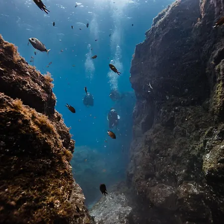 Blue Horizon Castillo Caleta Fuste * Caleta De Fuste
