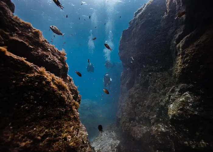 Blue Horizon Castillo Caleta Fuste * カレタ・デ・フステ